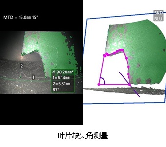 葉片缺失角測量